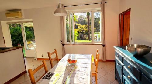 Valence House | Les palmiers de Valence