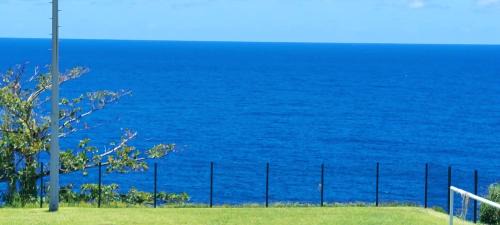 Sainte-Rose Hotel | Les palmiers