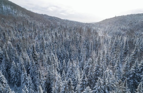 Val-des-Lacs Ski Chalet | ★ Les Petits Chalets ★Mini-Chalet #2★ Tremblant ★ Spa ★ ChiensOK