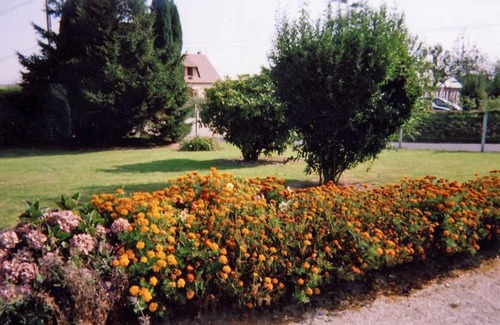 Angerville-la-Martel House | Les Pommiers - Angerville LA Martel