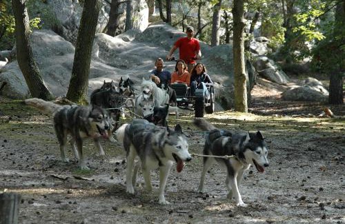 Chailly-en-Biere Bed & Breakfast | Les Prémices De La Forêt