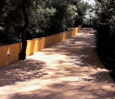 Cuges-les-Pins Bed & Breakfast | LES RESTANQUES - Chambre d'hôtes