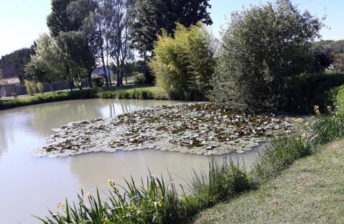 Feings Bed & Breakfast | Les ROSEAUX A la Campagne au centre des chateaux de la Loire
