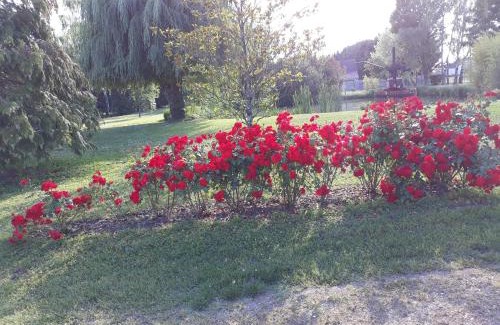 Feings Bed & Breakfast | Les ROSEAUX A la Campagne au centre des chateaux de la Loire