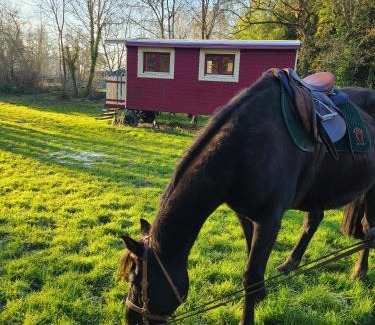 Le Vieil-Bauge House | Les roulottes du Moulin de Palet