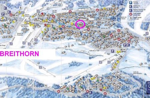 Les Saisies Apartment | Les Saisies: Grand 2 pièces cabine, 6 pers, cheminée, balcon sud, wifi - FR-1-293-248