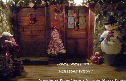 Vacheresse Apartment | Les Sapins Blancs - Vacheresse - Charming apartment in Abondance Valley 74