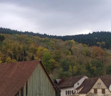 Stosswihr Apartment | Les studios du frankenthal