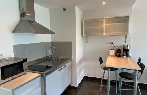 Le Bourget-du-Lac Apartment | Les Suites du Port