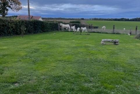 Omecourt House | Les tourterelles