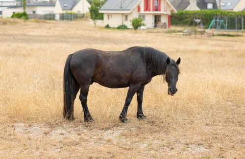 Santec House | Les Vagues Tranquilles - la plage à 50m