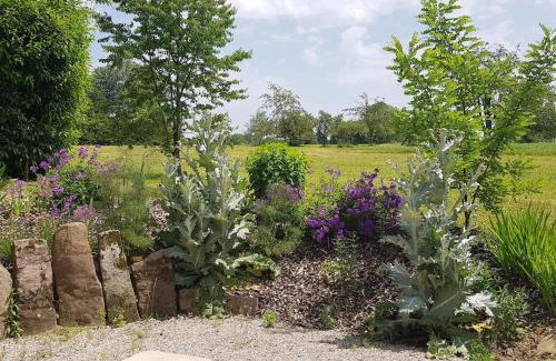 Fougerolles-Saint-Valbert House | Les Vergers d'Epona "Fougerolles Haute-Saône"