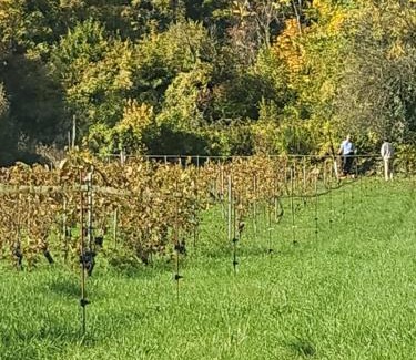 Lorry-les-Metz Villa | Les Vignes - Villa à 1 mn de Metz