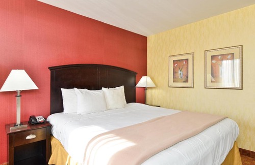 Queens Hotel | Lex View Inn at JFK Airport