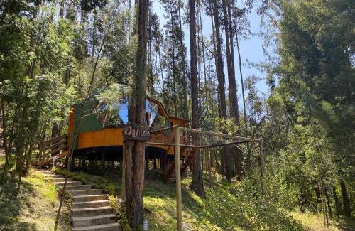 Duitama Other | Libélula Glamping con jacuzzi