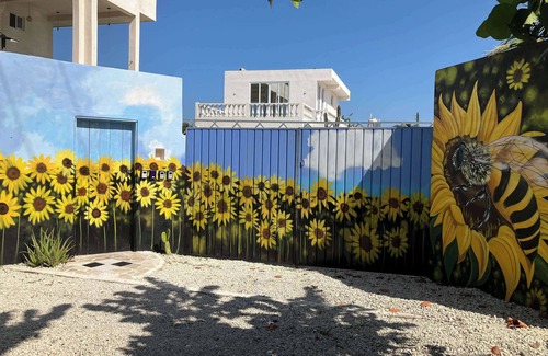 Chelem House | Libre at 21 Summary: