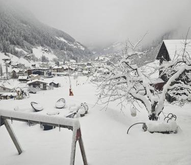 See Apartment | Lieblingsplatz - Ski in und Ski out