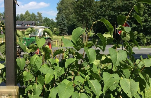 Tecklenburg Apartment | Light and inviting holiday apartment in the climatic and Kneipp spa town Tecklenburg