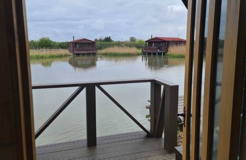 Boston Apartment | Lily pad glamping pod basic hut