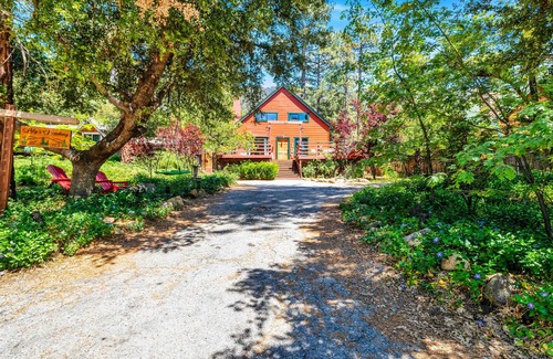 Fern Valley Cabin | Lily`s Mountain Landing
