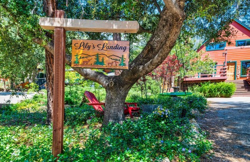 Fern Valley Cabin | Lily`s Mountain Landing