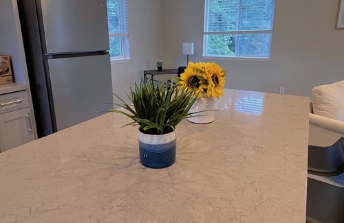 North Bend House | Limited Time 20% Off/MTN View/Modern PNW Getaway