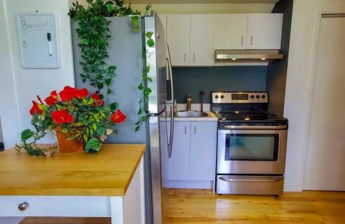 Vieux-Limoilou Apartment | Limoilou Trendy 4 pers AC Near Downtown