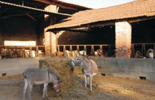 Vicopelago Apartment | LINA - Agriturismo Bigongiari - Apartment - Ground Floor