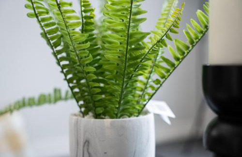 Linthouse Apartment | Linburn Apartment