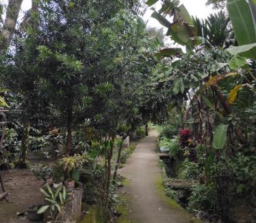 Aik Berik Bed & Breakfast | Linda Homestay
