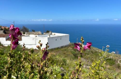 Garachico Apartment | LiRo