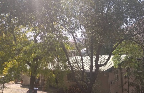 Three Rivers House | Lisa's Dog Friendly Sequoia Boulder Room-no pet fees
