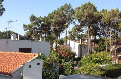 Charneca de Caparica e Sobreda Villa | Lisbon villa with pool
