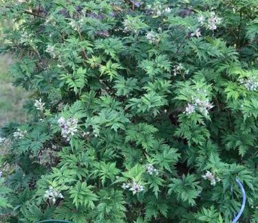 Varmdo House | Litet modernt fristående hus i Skärgården på Värmdö, Stockholm