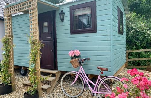 Barnstaple House | Little Bo Peep