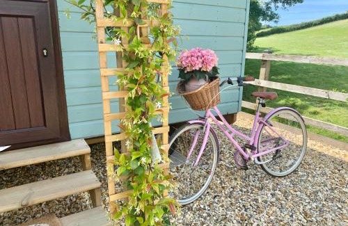 Barnstaple House | Little Bo Peep