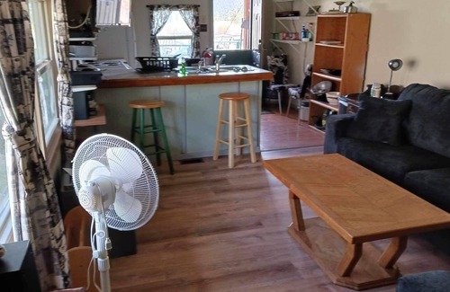 Villa Grove House | Little Bonanza, Bonzai, the river runs through 13 acres of freedom.
