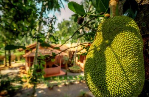 Udawalawa Bed & Breakfast | Little Cabanas Udawalawe