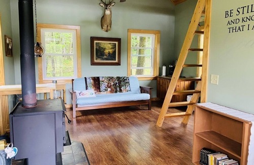 Horseheads Cabin | Little Cabin in the Big Woods