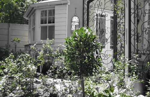 Rondebosch Apartment | Little Daisy self catering semi detatched apartment