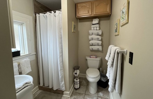 Old East Hill House | Little Green House- Downtown Cozy-Cottage Snowbirds Welcome!