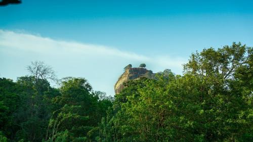 Sigiriya Cabin | Little Haven Cottage