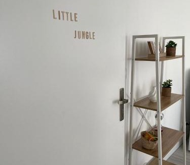 Vierzon Apartment | Little Jungle - T2 avec parking