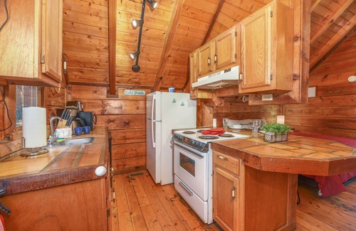 Gatlinburg - Pigeon Forge Cabin | Little Ladybug Resort Romantic Honeymoon Cabin with Forest Views