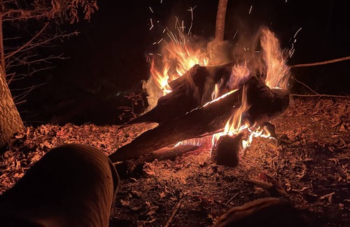 Kedron Cabin | Little Off Grid Cabin! Close to Downtown Leipers Fork!