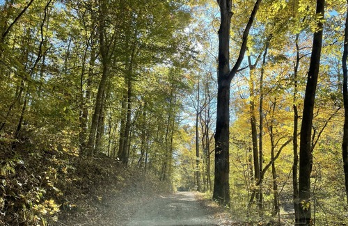 Kedron Cabin | Little Off Grid Cabin! Close to Downtown Leipers Fork!