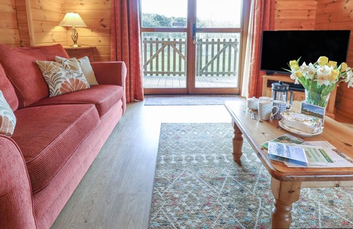 Lincoln Cabin | LITTLE OWL LODGE, pet friendly, with hot tub in Bardney