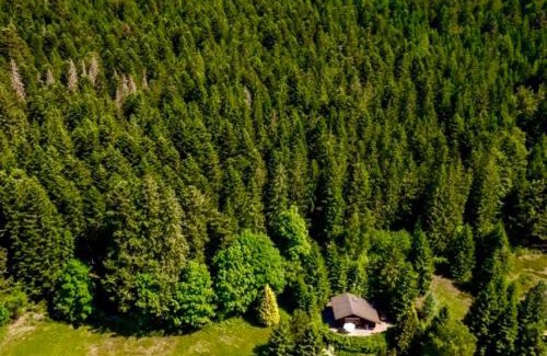 Granges-Aumontzey Ski Chalet | Little Paradise hidden from view