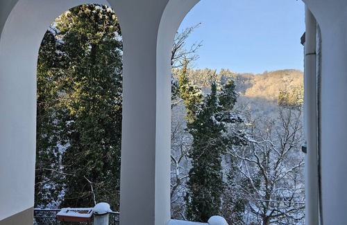 Boppard Apartment | Little Rhine View Château (UG): Apartment at the largest Rhine bend in Boppard.