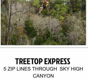 Fellowship House | Little Sunshine